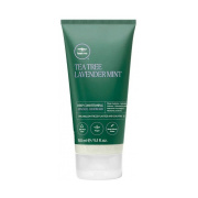 Paul Mitchell Tea Tree Lavender Mint Deep Conditioning Mineral Hair Mask