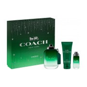Coach Men Green