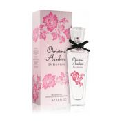 Christina Aguilera Definition