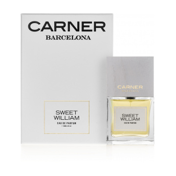 Carner Barcelona Sweet William